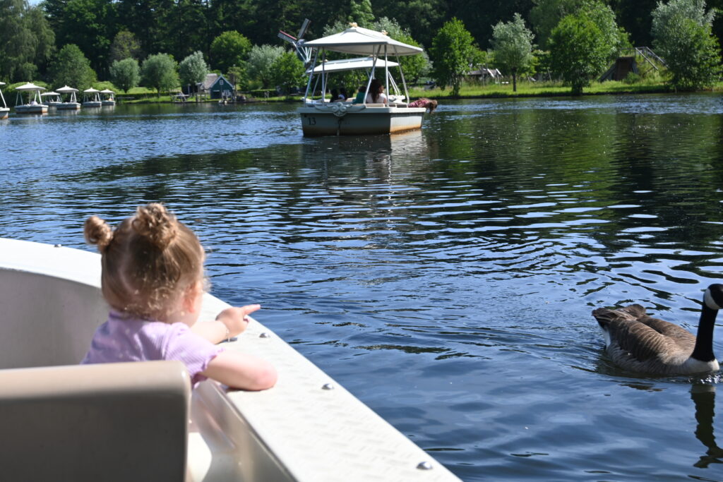 a little girl wearing pigtails, pointing at a duck on a lake at efteling theme park